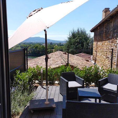 Trevoux: Loft Ravissant Avec Terrasse Apartment Bagian luar foto