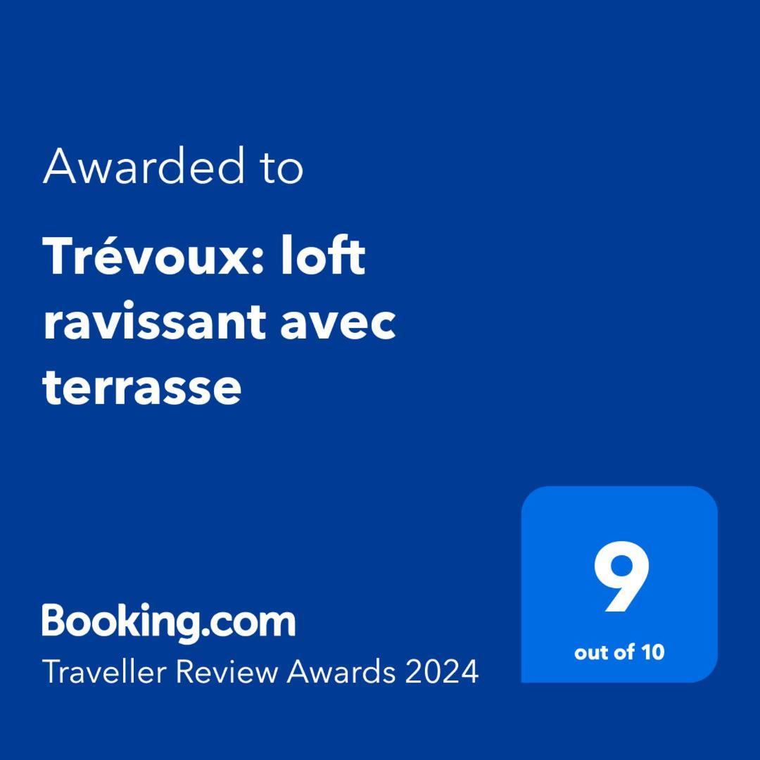 Trevoux: Loft Ravissant Avec Terrasse Apartment Bagian luar foto